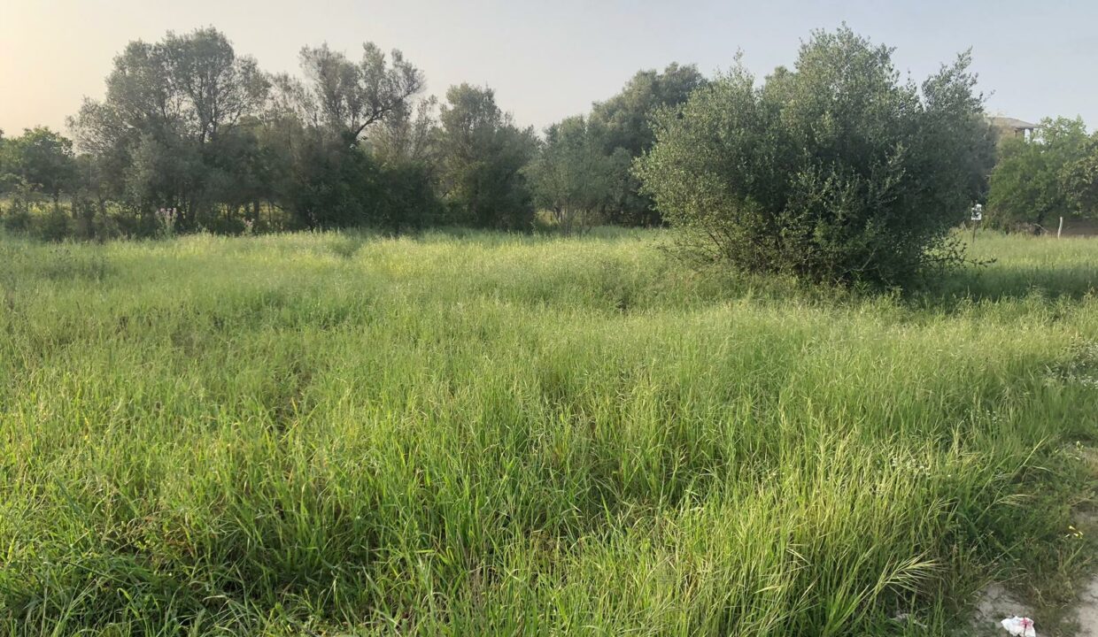 WhatsApp Image 2019-04-26 at 18.58.16 (2)