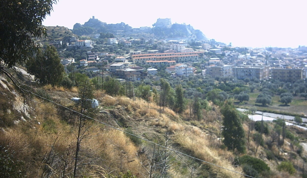 lardea 022