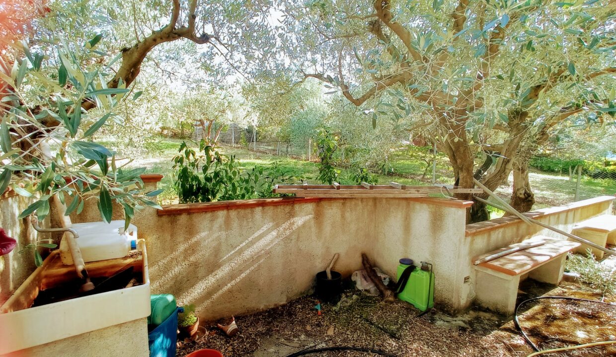 cortile e giardino