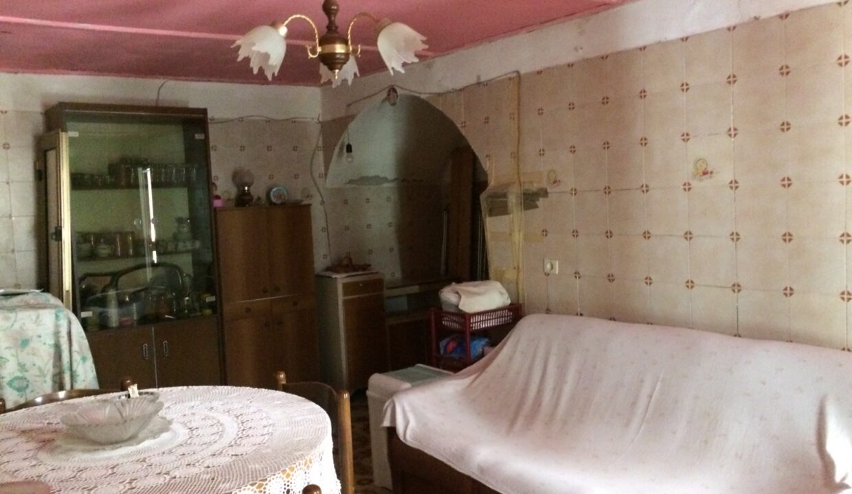 WhatsApp Image 2022-02-21 at 10.13.09 (14)