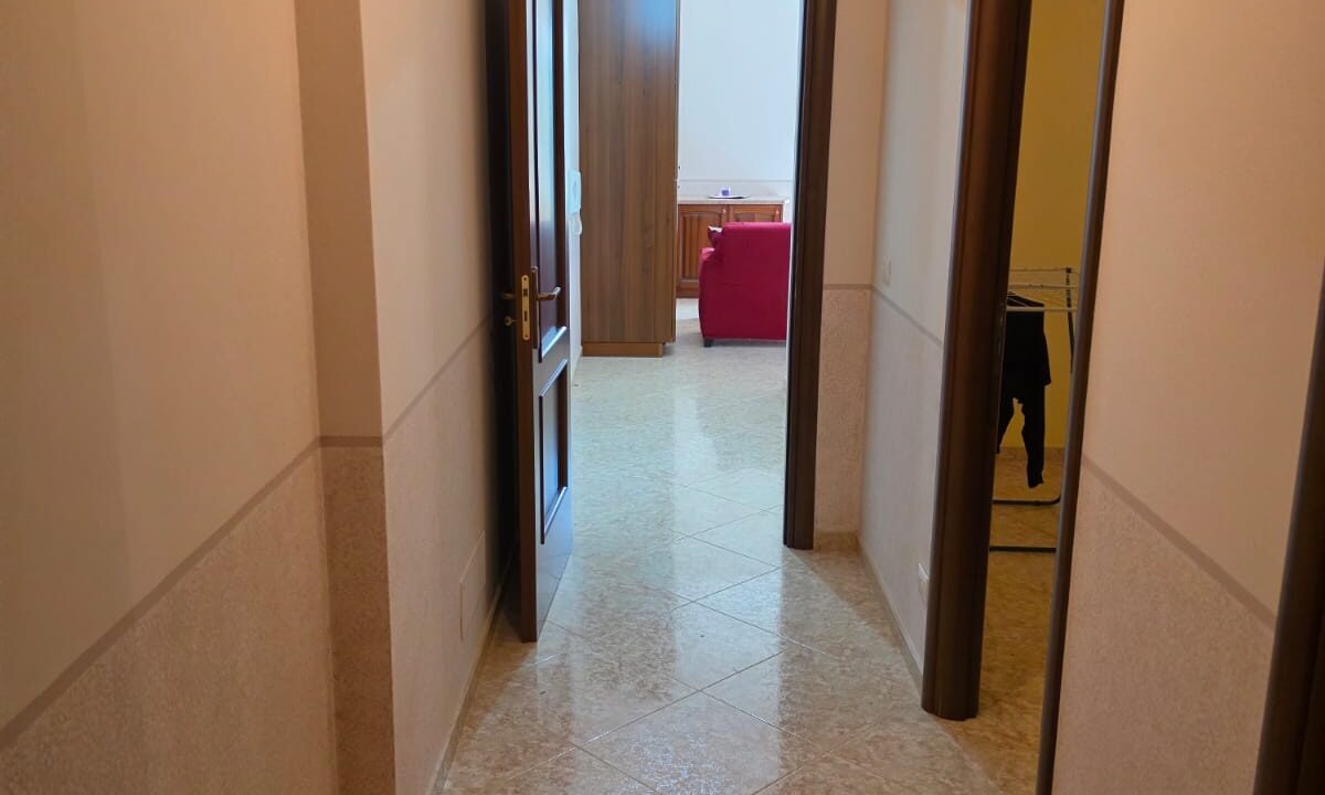 WhatsApp Image 2026-08-05 at 17.17.42 (1)