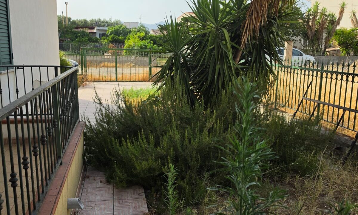 WhatsApp Image 2026-08-05 at 17.17.43 (1)